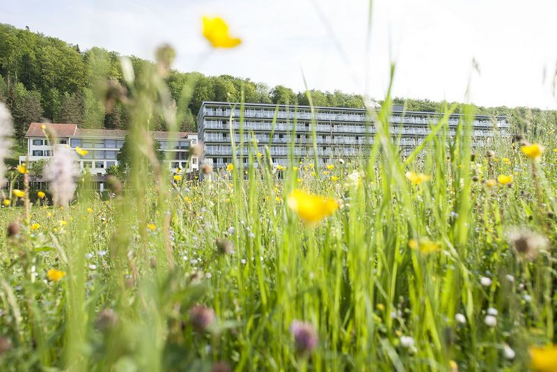 Frühlings-Blumenwiese mit Klinikgebäude im Hintergrund